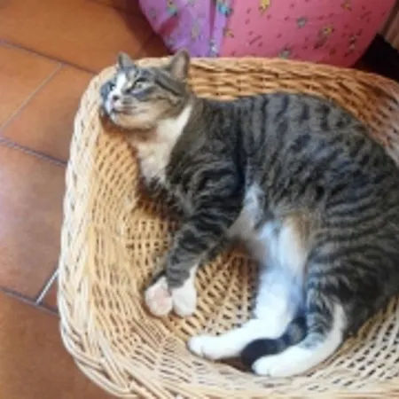 Nocleg ze śniadaniem Benvenuti Al Sud Martellago