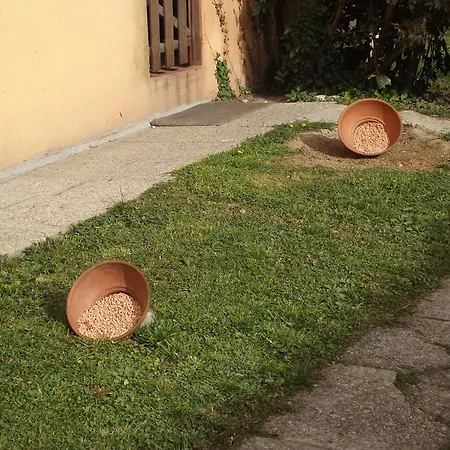 Nocleg ze śniadaniem Benvenuti Al Sud *